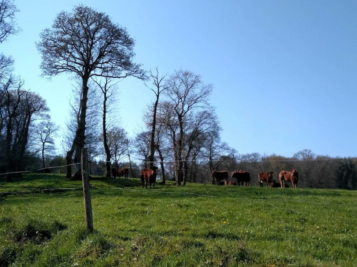 Gite Le Valet, T2 Classe 3 Etoiles, Entre Rennes Et Saint-Malo Villa La Chapelle-aux-Filzméens Eksteriør billede